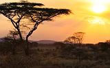 TANZANIA - Serengeti National Park - Tramonto - 4